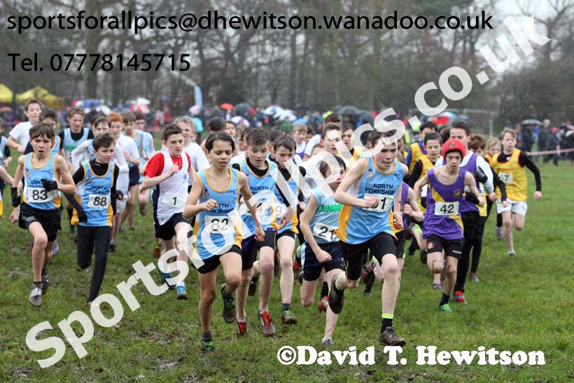 Minor boys Northern Inter Counties Schools Cross Country, Stockton. Photo: David T. Hewitson/Sports for All Pics